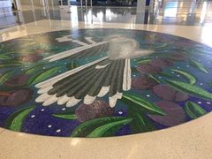 -达拉斯 沃斯堡国际机场