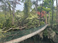 -千岛湖东南湖区