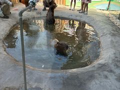 -廊坊固安福朋喜来登酒店