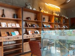 -了不起的考拉咖啡店(高新店)