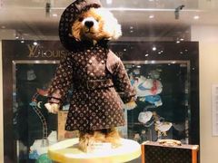 -济州岛泰迪熊博物馆