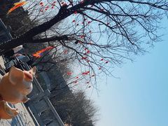 -唐山尚禾源旅游景区