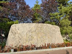 -北京国家会计学院