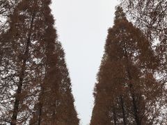 -华谊兄弟（长沙）电影小镇