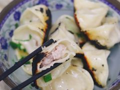 鲜肉煎饺-无名氏宵夜小摊(祝家三姐妹馄饨店)