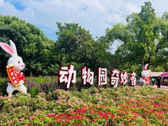 -上海野生动物园