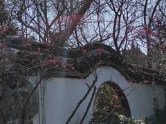 -汇龙潭