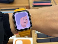 -Apple零售店(深圳益田假日广场店)