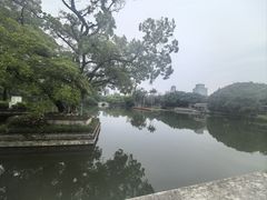 -荔湾湖公园