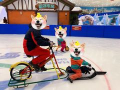 -长沙湘江冰雪世界