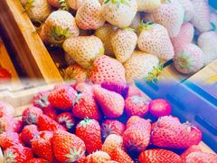 -松野谷·寿喜烧自助(华联顺义金街购物中心店)