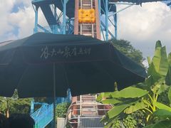 -苏州乐园森林水世界