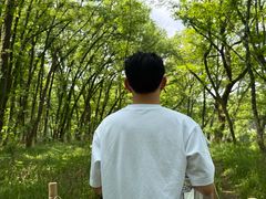 -西溪南古村落