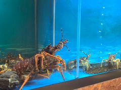 -西村日本料理(香格里拉饭店)