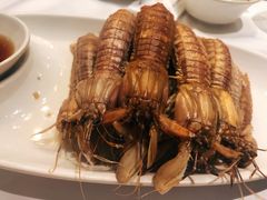 -开海·红岛海鲜虾水饺(石老人店)