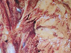 -大师兄·西北风味食集(增城合生汇店)