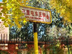 -三里屯东五街银杏大道