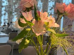 -Tomacado花厨(One ITC店)