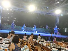 -渔家火锅·海鲜自助餐·演艺(亚龙湾天域酒店)