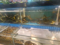 -鹿客臻鲜海鲜自助餐厅(永旺店)