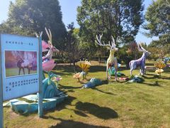 -东台西溪天仙缘景区
