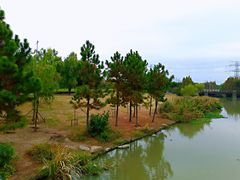 -九里河湿地公园