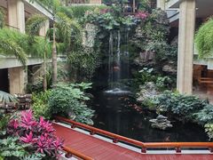 -白天鹅宾馆·月兔吧