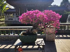 -惠州西湖丰渚园