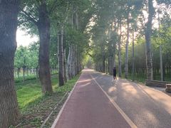 -东郊湿地公园