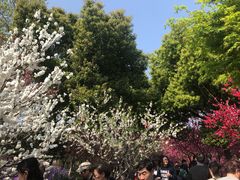 -圩墩遗址公园