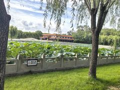 -南戴河国际娱乐中心