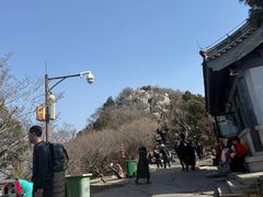 -千佛山风景名胜区