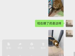 -瑞鹏宠物医院·夜间急症·心超·猫科(祖庙分店)