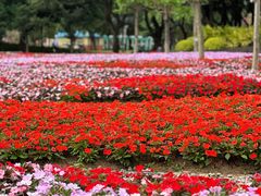 -文华公园(禅城区)