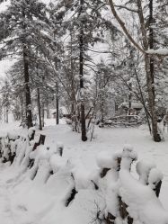 -大秃顶子山