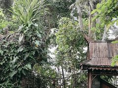 -北京植物园-展览温室