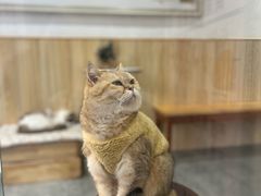 -沙坡尾艺术西区
