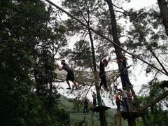 景点-旗山国家森林公园