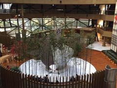 -上海滴水湖皇冠假日酒店