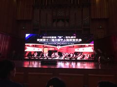 -合肥大剧院