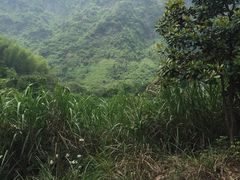 -冯家大院·地道龙游土菜