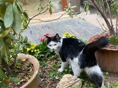 -厦门良筑精品酒店(厦门中山路店)