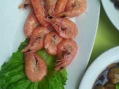 -高佳庄·舟山海鲜(海景旗舰店)