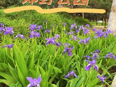 -东升八家郊野公园