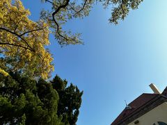 -青岛德国总督楼旧址博物馆
