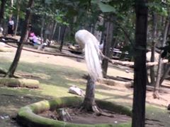 -哈尔滨北方森林动物园