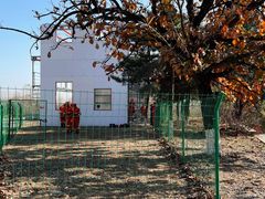 -北京鹫峰国家森林公园