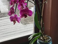 -湖畔居茶楼(湖滨店)
