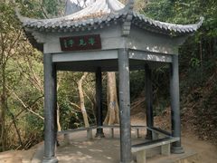 -羚羊峡古栈道森林公园