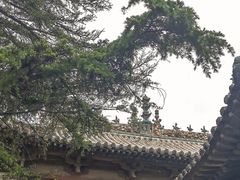 -飞云楼